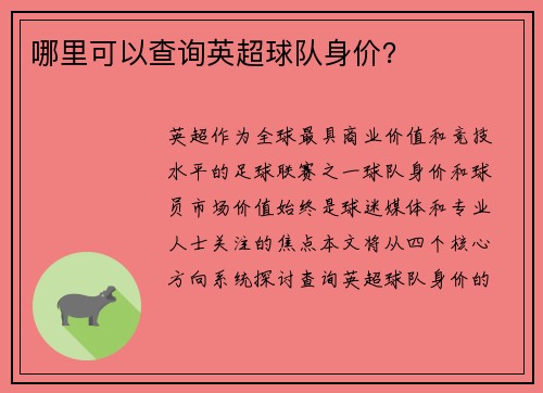 哪里可以查询英超球队身价？